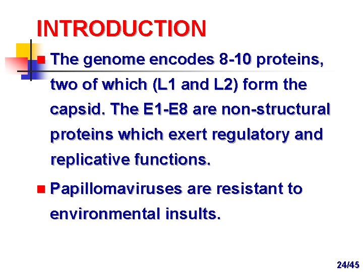 INTRODUCTION n The genome encodes 8 -10 proteins, two of which (L 1 and