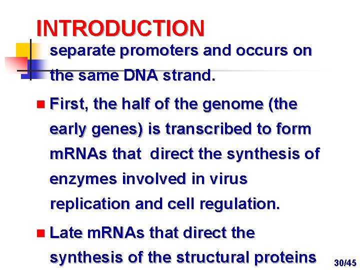 INTRODUCTION separate promoters and occurs on the same DNA strand. n First, the half