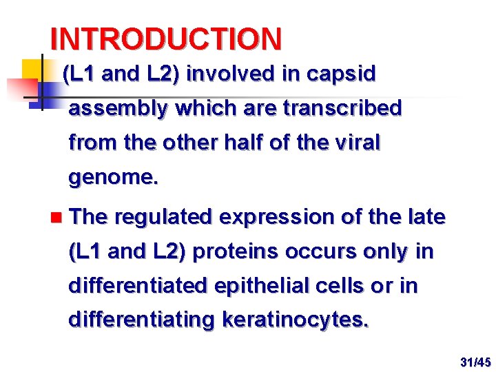 INTRODUCTION (L 1 and L 2) involved in capsid assembly which are transcribed from