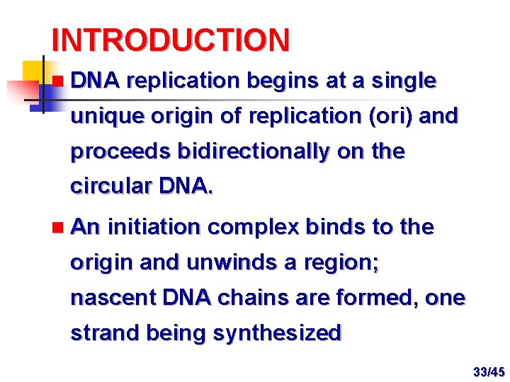 INTRODUCTION n DNA replication begins at a single unique origin of replication (ori) and