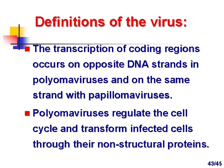 Definitions of the virus: n The transcription of coding regions occurs on opposite DNA