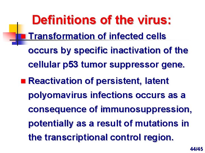 Definitions of the virus: n Transformation of infected cells occurs by specific inactivation of