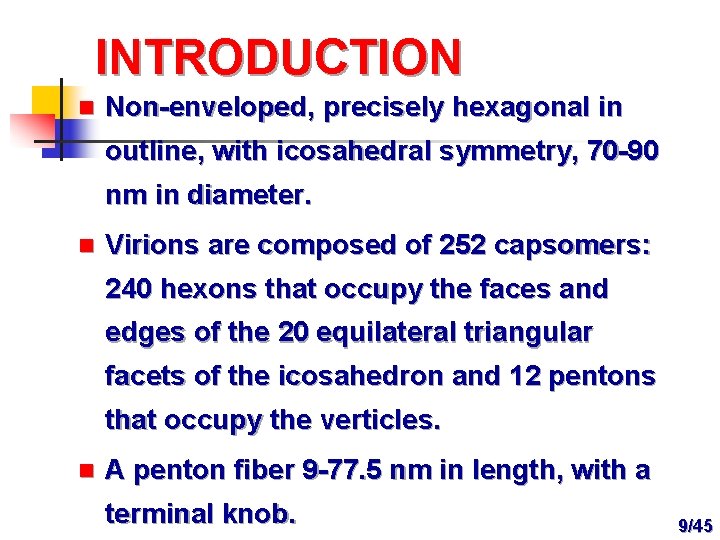 INTRODUCTION n Non-enveloped, precisely hexagonal in outline, with icosahedral symmetry, 70 -90 nm in