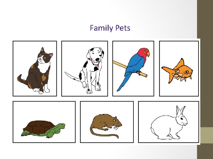 Family Pets 
