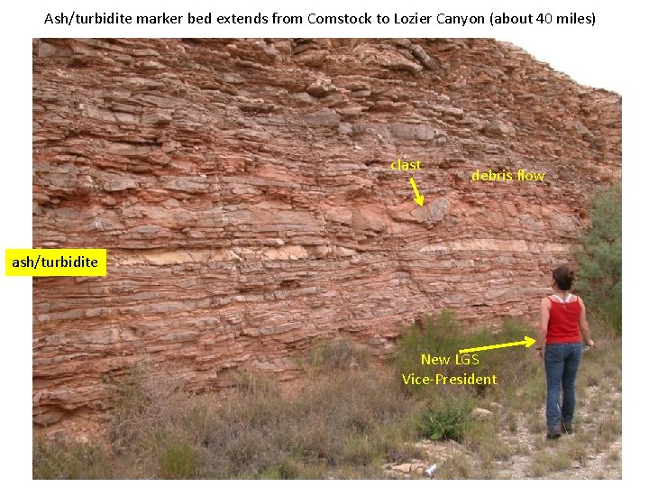 Ash/turbidite marker bed extends from Comstock to Lozier Canyon (about 40 miles) clast debris