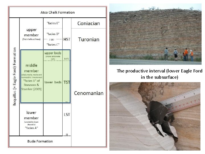 The productive interval (lower Eagle Ford in the subsurface) 