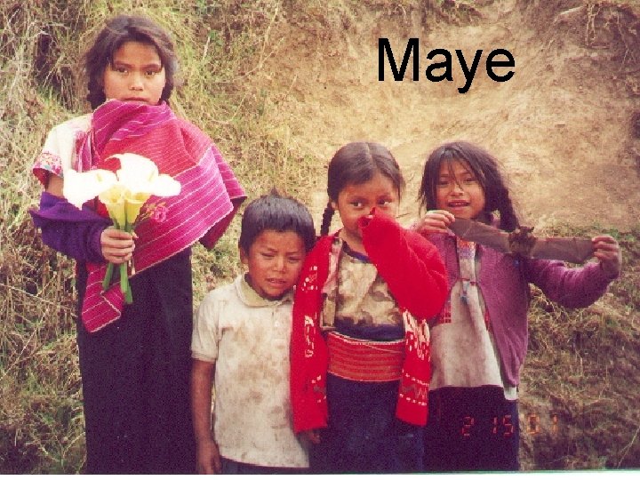 Maye 