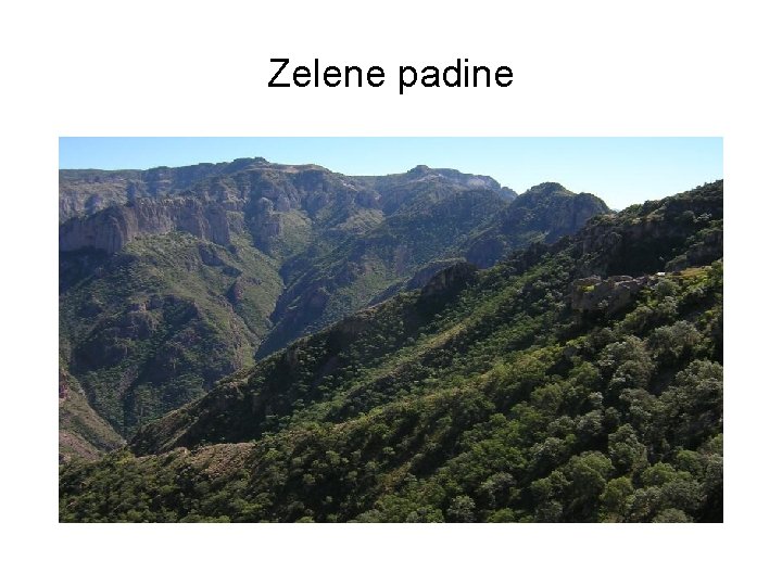 Zelene padine 