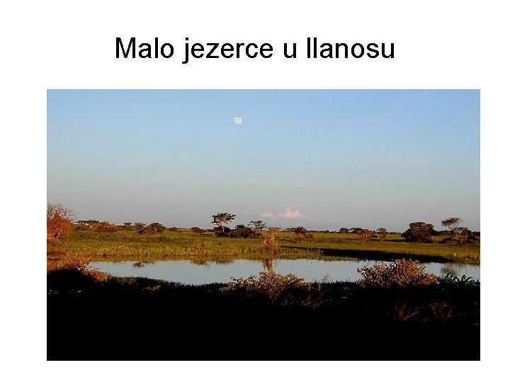 Malo jezerce u llanosu 