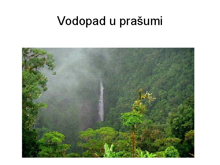 Vodopad u prašumi 