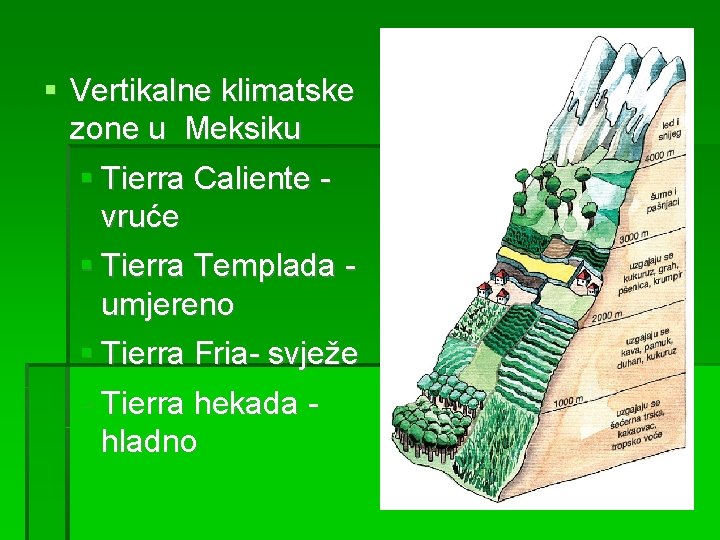  Vertikalne klimatske zone u Meksiku Tierra Caliente vruće Tierra Templada umjereno Tierra Fria-