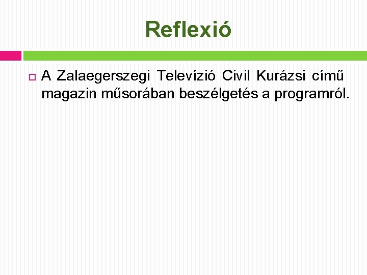 Reflexió A Zalaegerszegi Televízió Civil Kurázsi című magazin műsorában beszélgetés a programról. 