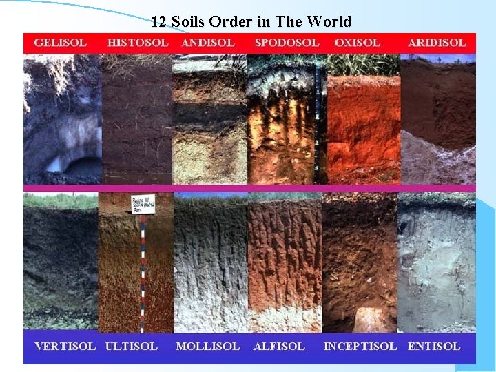 12 Soils Order in The World 