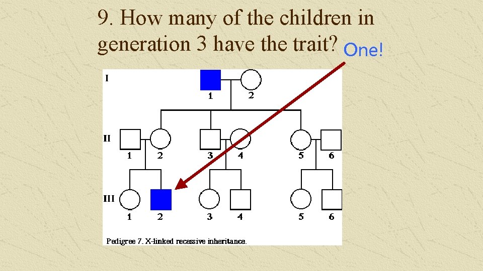 9. How many of the children in generation 3 have the trait? One! 