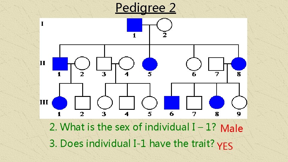 Pedigree 2 2. What is the sex of individual I – 1? Male 3.