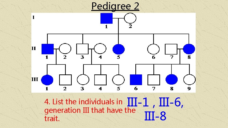 Pedigree 2 III-1 , III-6, III-8 4. List the individuals in generation III that