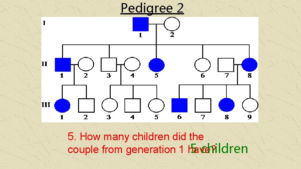 Pedigree 2 5. How many children did the couple from generation 1 have? 5