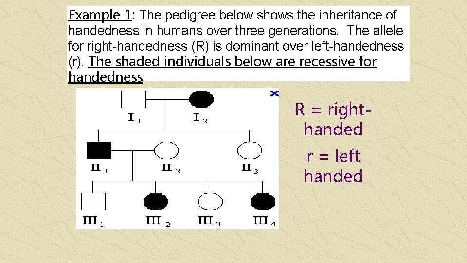 Example 1: The pedigree below shows the inheritance of handedness in humans over three