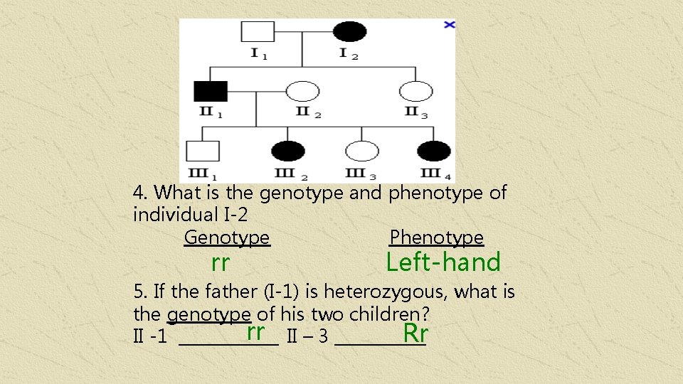 4. What is the genotype and phenotype of individual I-2 Genotype Phenotype rr Left-hand