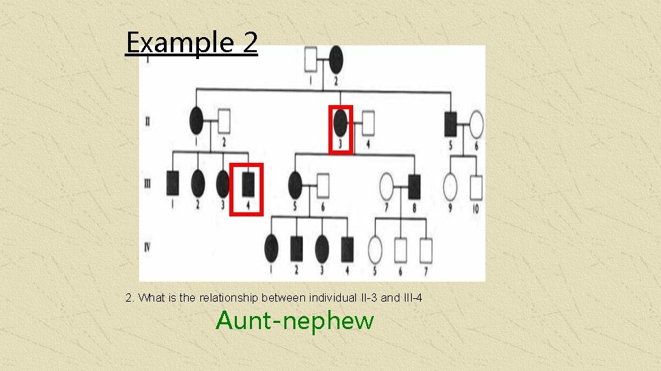 Example 2 2. What is the relationship between individual II-3 and III-4 Aunt-nephew 