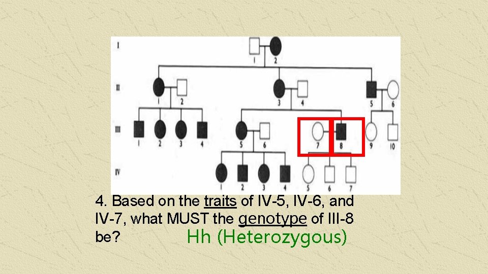 4. Based on the traits of IV-5, IV-6, and IV-7, what MUST the genotype