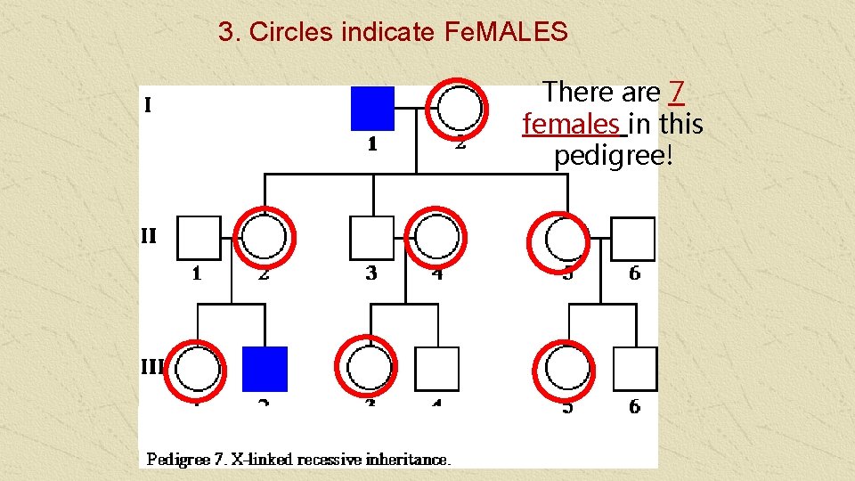 3. Circles indicate Fe. MALES There are 7 females in this pedigree! 