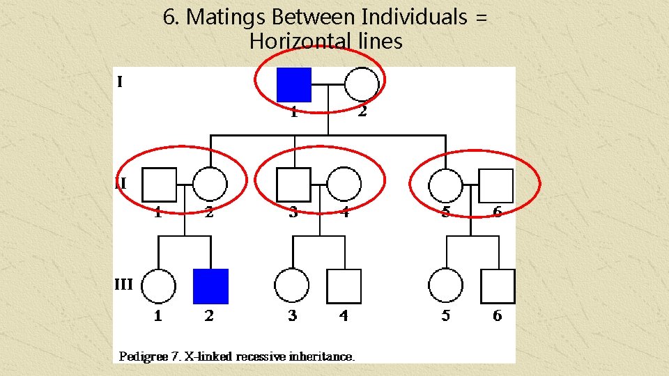 6. Matings Between Individuals = Horizontal lines 