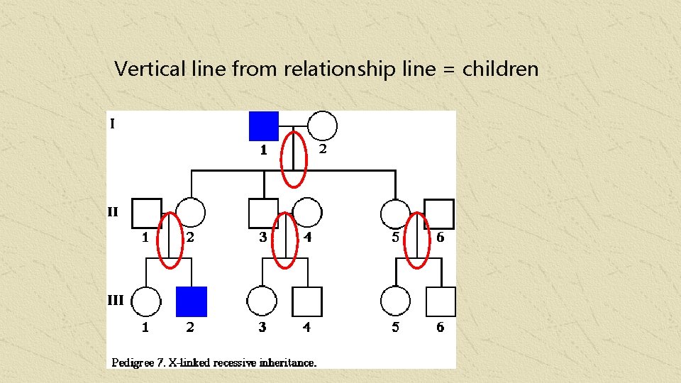 Vertical line from relationship line = children 