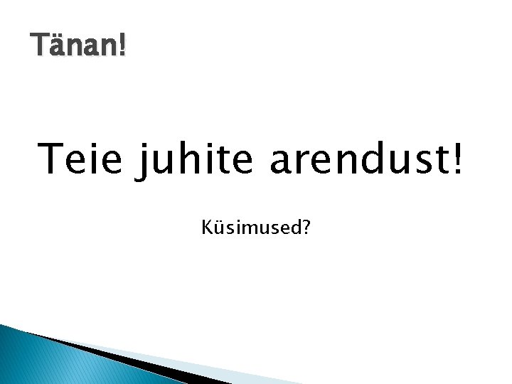 Tänan! Teie juhite arendust! Küsimused? 