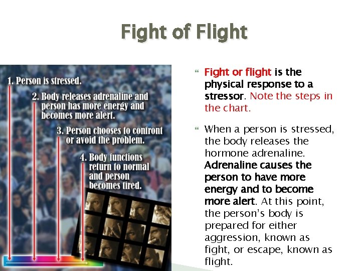 Fight of Flight Fight or flight is the physical response to a stressor. Note