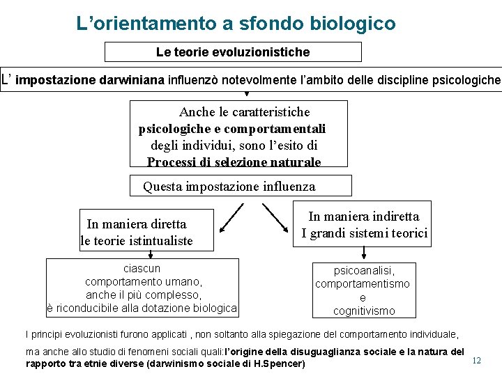 L’orientamento a sfondo biologico Le teorie evoluzionistiche L’ impostazione darwiniana influenzò notevolmente l’ambito delle