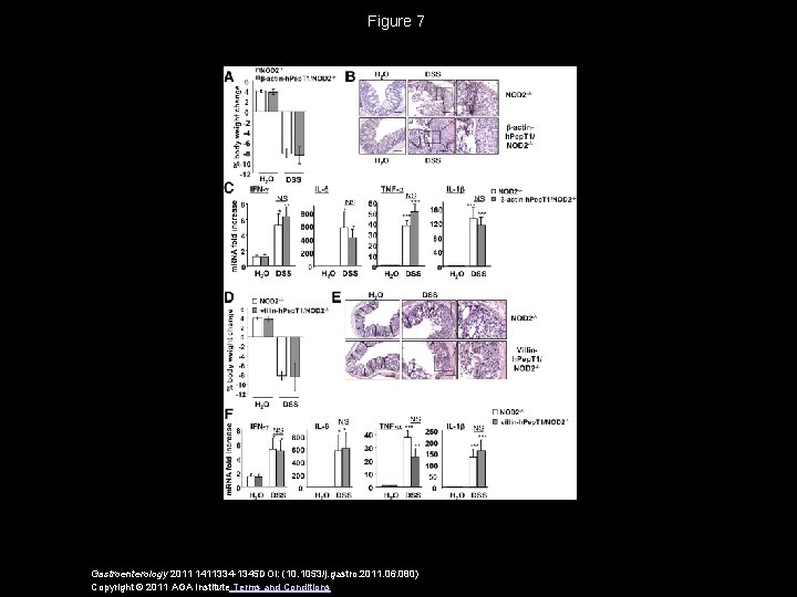 Figure 7 Gastroenterology 2011 1411334 -1345 DOI: (10. 1053/j. gastro. 2011. 06. 080) Copyright