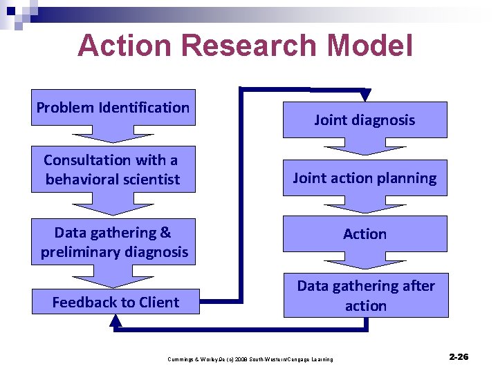 Action Research Model Problem Identification Consultation with a behavioral scientist Joint diagnosis Joint action