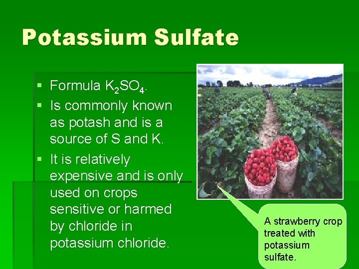 Potassium Sulfate § Formula K 2 SO 4. § Is commonly known as potash