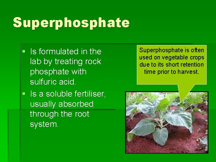 Superphosphate § Is formulated in the lab by treating rock phosphate with sulfuric acid.