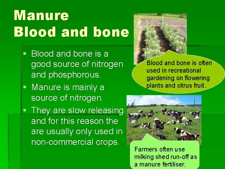 Manure Blood and bone § Blood and bone is a good source of nitrogen