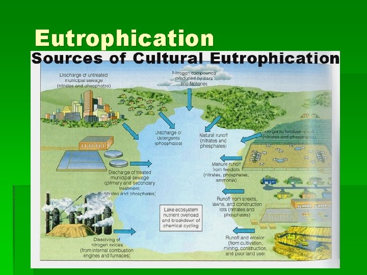 Eutrophication 