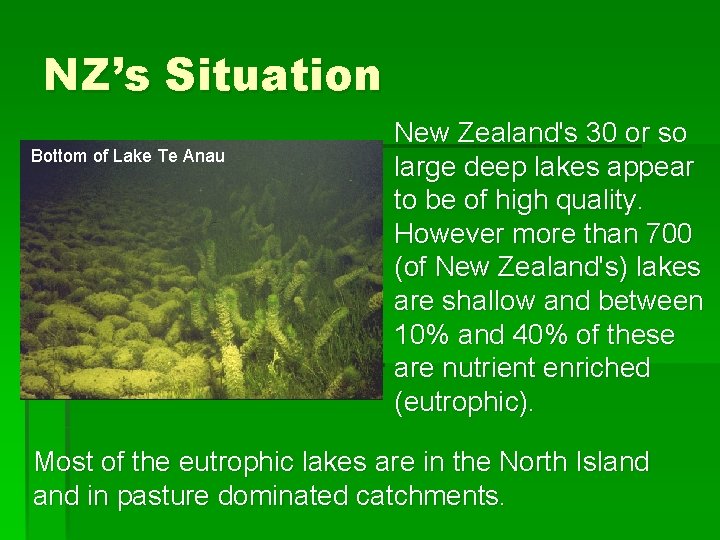 NZ’s Situation Bottom of Lake Te Anau New Zealand's 30 or so large deep