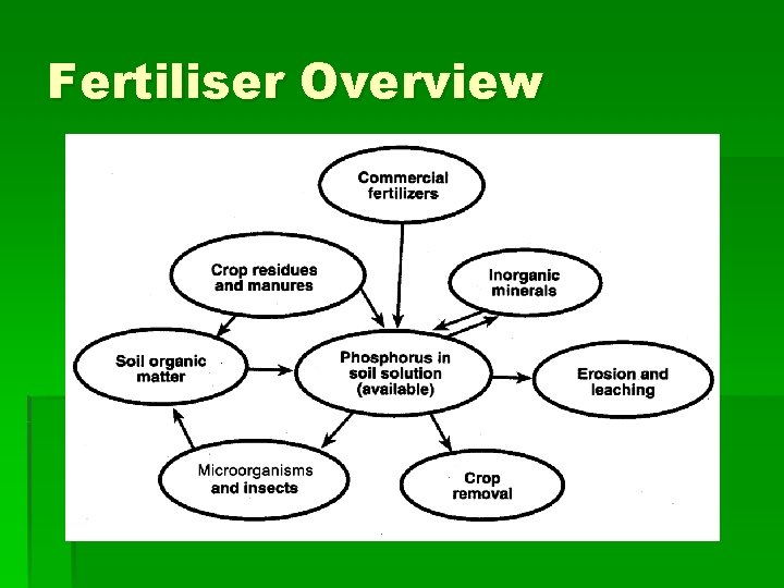 Fertiliser Overview 