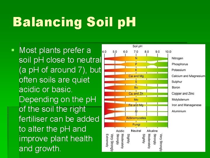 Balancing Soil p. H § Most plants prefer a soil p. H close to