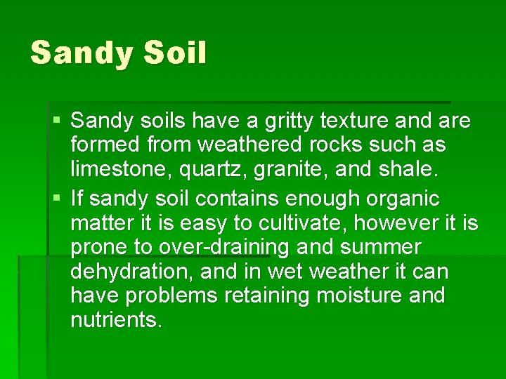 Sandy Soil § Sandy soils have a gritty texture and are formed from weathered