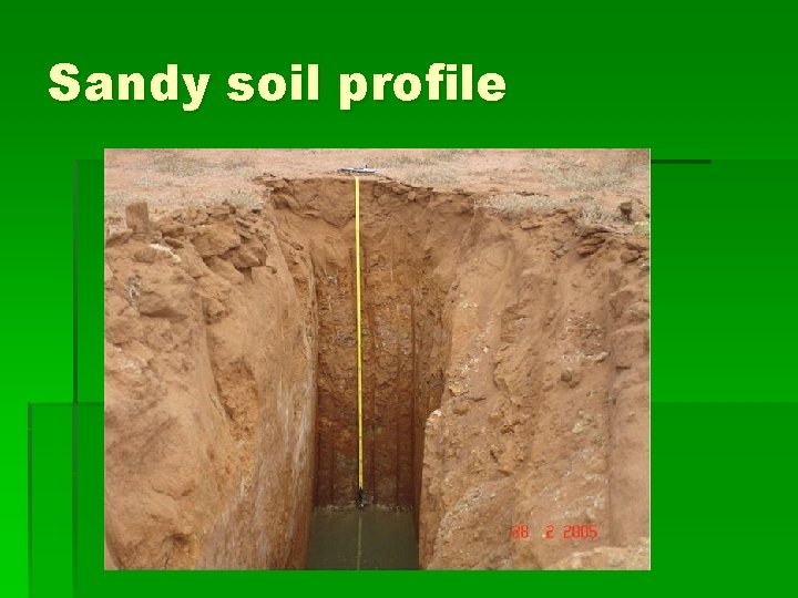 Sandy soil profile 