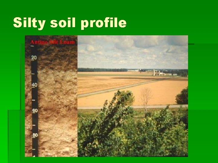 Silty soil profile 