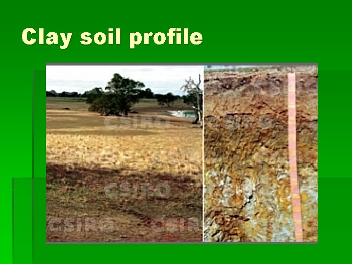 Clay soil profile 