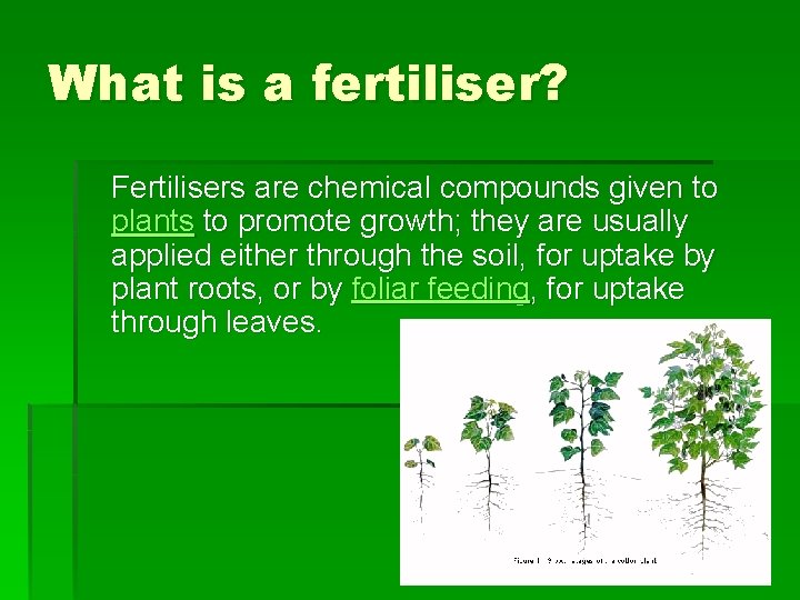 What is a fertiliser? Fertilisers are chemical compounds given to plants to promote growth;