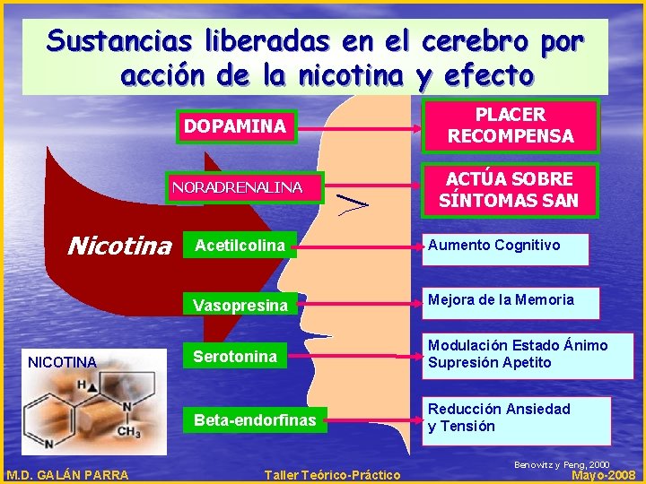 Sustancias liberadas en el cerebro por acción de la nicotina y efecto Nicotina NICOTINA