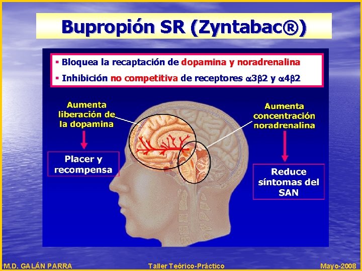 Bupropión SR (Zyntabac®) § Bloquea la recaptación de dopamina y noradrenalina § Inhibición no