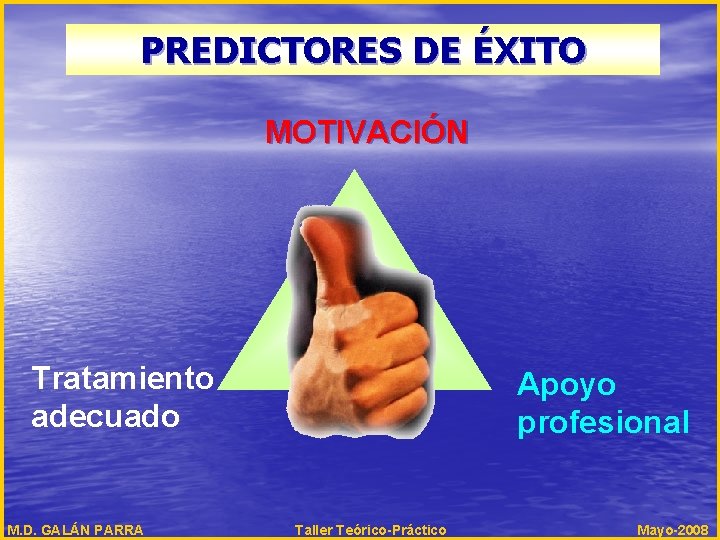 PREDICTORES DE ÉXITO MOTIVACIÓN Tratamiento adecuado M. D. GALÁN PARRA Apoyo profesional Taller Teórico-Práctico