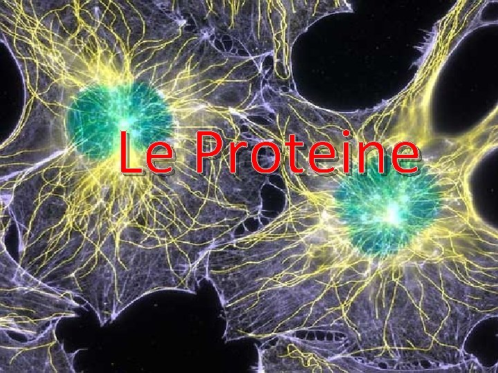 Le Proteine 