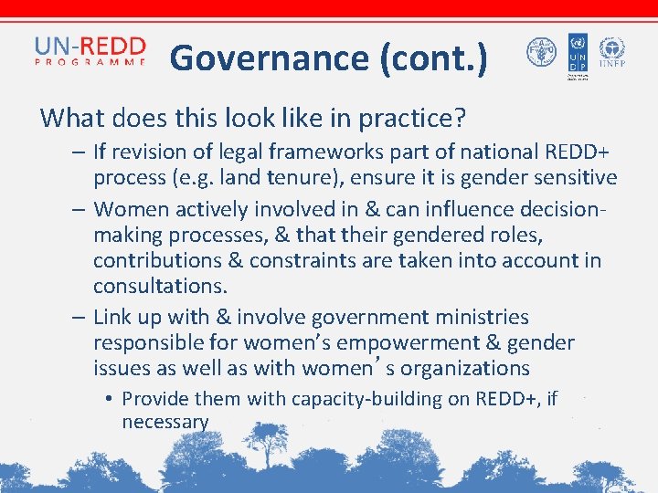 Governance (cont. ) What does this look like in practice? – If revision of Governance (cont. ) What does this look like in practice? – If revision of